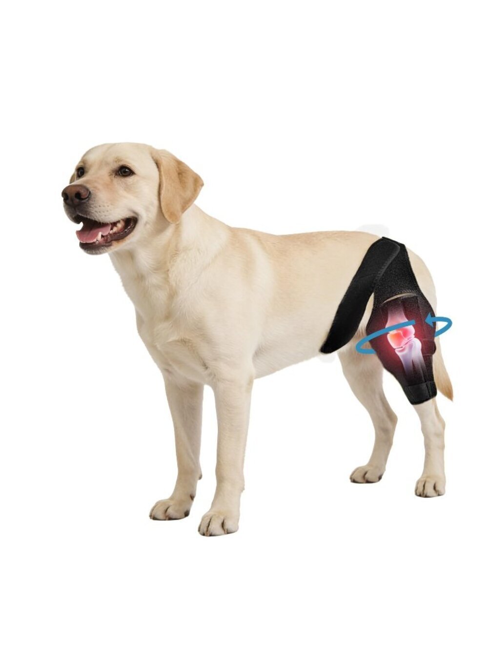 Large Noorace Dog Knee Brace Torn ACL/CCL Hind Leg Support Adj.Relief Stability